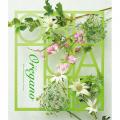 ���쥬��