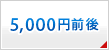 5000±ßÁ°¸å