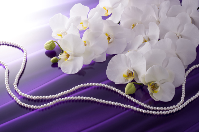 葬儀の代表的な供花と真珠のネックレス
